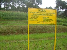 In-situ soil and moisture conservation practices in hill slopes for climate resilient agriculture